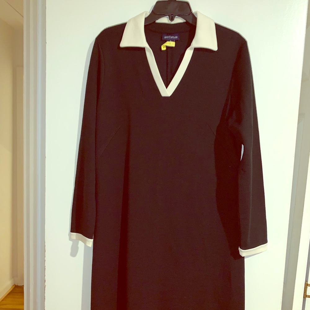 Ann Taylor Dress